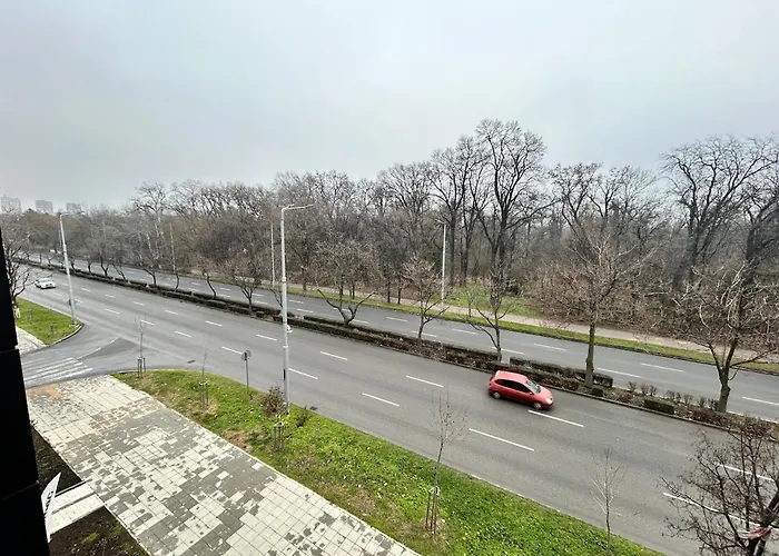 Le Bijou Lauta Forest